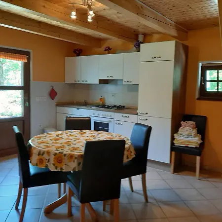 Počitniška hiša Lepena Soca