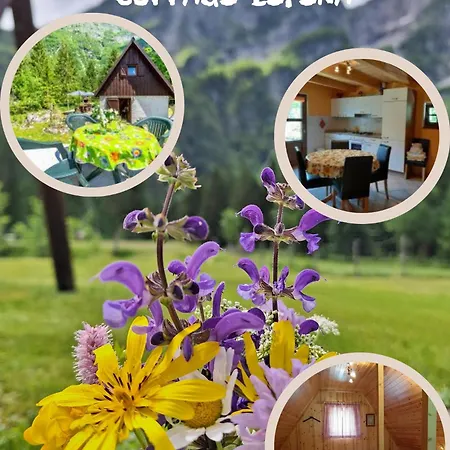 Lepena Holiday home